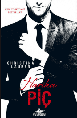 Harika Piç (The Beautiful Bastard, #1)