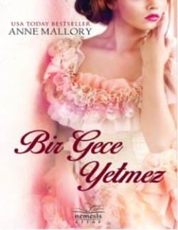 Bir Gece Yetmez (Secrets #2)