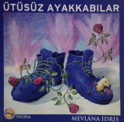 Ütüsüz Ayakkabılar