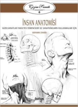 Çizim Sanatı Serisi 6 - İnsan Anatomisi