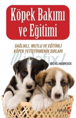 Köpek Bakımı ve Eğitimi