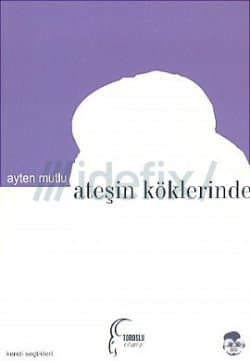 Ateşin Köklerinde