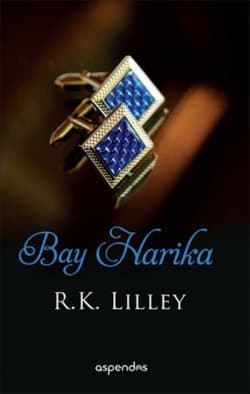 Bay Harika (Up in the Air #4)