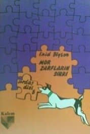 Mor Zarfların Sırrı