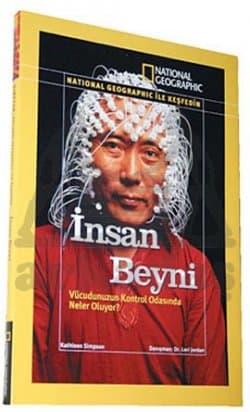 İnsan Beyni