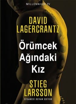 Örümcek Ağındaki Kız (Millennium, #4)