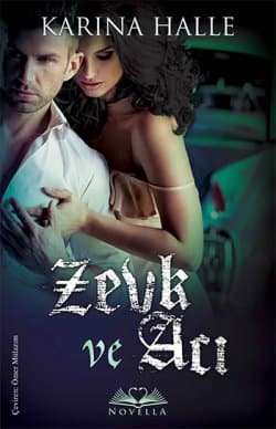 Zevk Ve Acı (The Artists Trilogy 0,5 )