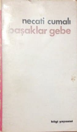 Başaklar Gebe