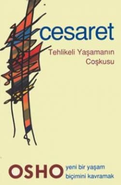 Cesaret -Tehlikeli Yaşamanın Coşkusu-
