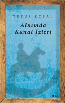ALNIMDA KANAT İZLERİ