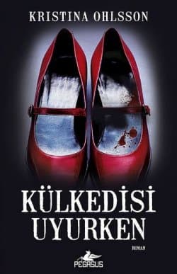 Külkedisi Uyurken (Fredrika Bergman & Alex Recht, #1)