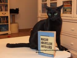 Macar Hikayeleri Antolojisi