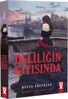 Deliliğin Kıyısında (Kaçığın Kızı #2)