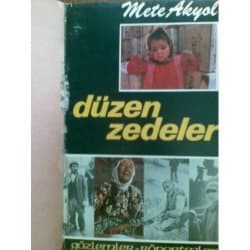 Düzen Zedeler: Gözlemler, Röportajlar