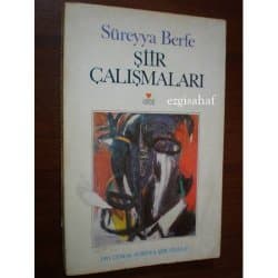 Şiir Çalışmaları