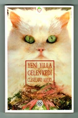Yeni Yılla Gelen Kedi