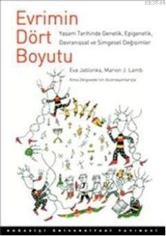 Evrimin Dört Boyutu