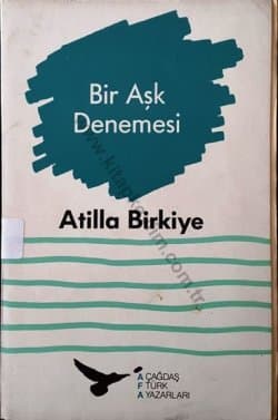 Bir Aşk Denemesi