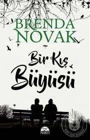 Bir Kış Büyüsü