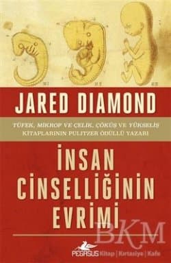 İnsan Cinselliğinin Evrimi