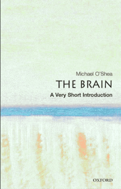The Brain: A Very Short Introduction
