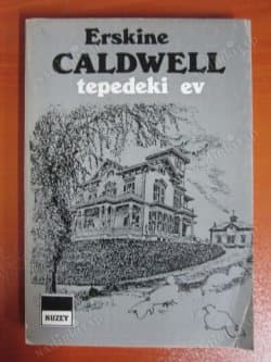 Tepedeki Ev