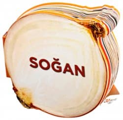 Soğan - Lezzetli Magnetler