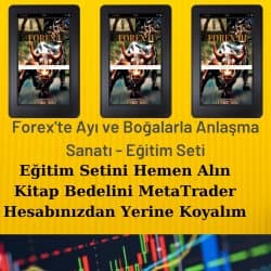 Forex’te Ayı ve Boğalarla Anlaşma Sanatı