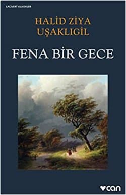 Fena Bir Gece