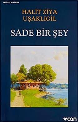 Sade Bir Şey