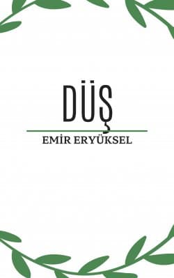 Düş (Şiir Kitabı)