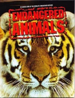 Endangered Animals: A Closer Look at The World's Threatened Species