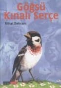 Göğsü Kınalı Serçe