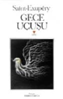 Gece Uçuşu