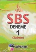 Dörtrenk Çözümlü 6. Sınıf 5 SBS Denemesi
