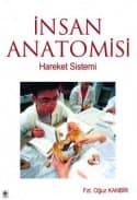 İnsan Anatomisi