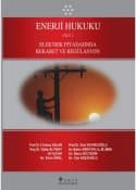 Enerji Hukuku - 1