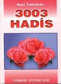 3003 Hadis