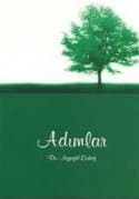 Adımlar 1