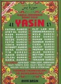 41 Yasin (Cami Boy-2 Renk-Türkçe Okunuşları ve Açıklamaları)