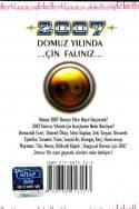 2007 Domuz Yılında Çin Falınız