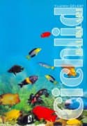 Cichlid Balıkları