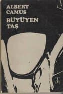 Büyüyen Taş