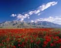 Around and About Lake Van