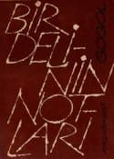 Bir Delinin Notları