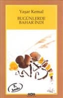 Bugünlerde Bahar İndi