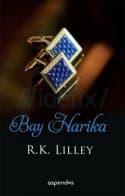 Bay Harika (Up in the Air #4)