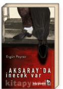 Aksaray'da İnecek Var