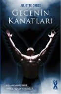 Gecenin Kanatları ( Nightwing Serisi, #1-3 )