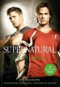 Supernatural Bir YılSonra